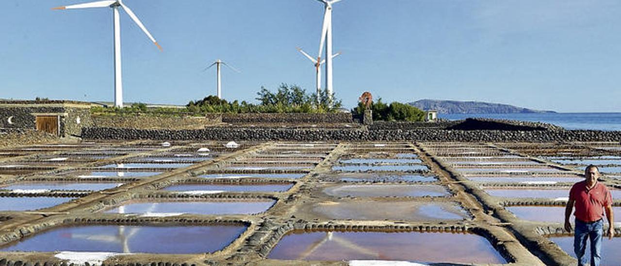 Instalaciones de desalación de agua para el riego agrícola alimentadas con energía eólica de Soslaires Canarias.