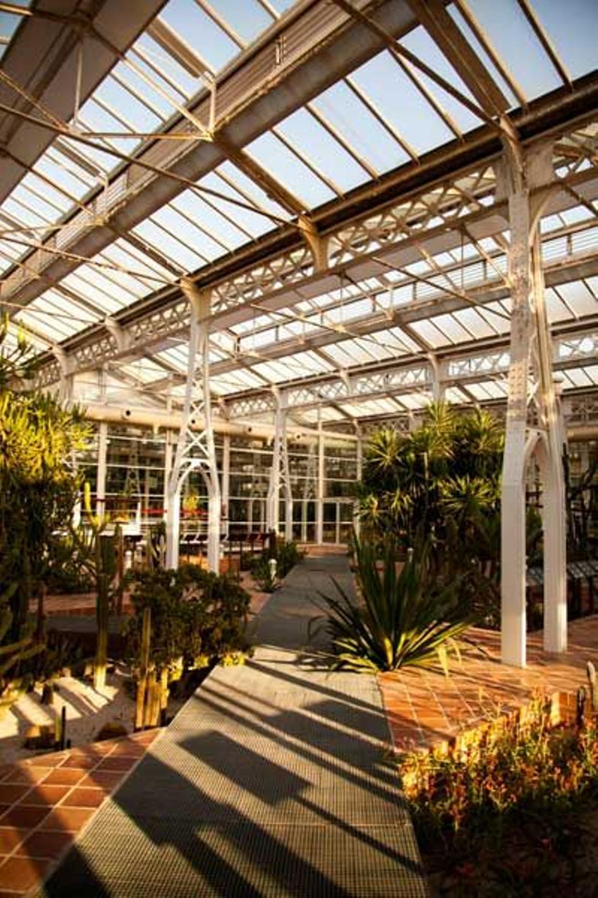 En el antiguo Matadero Municipal de Arganzuela, el Palacio de Cristal acoge un invernadero con con más de 9.000 especies de plantas en cuatro biotopos diferenciados.