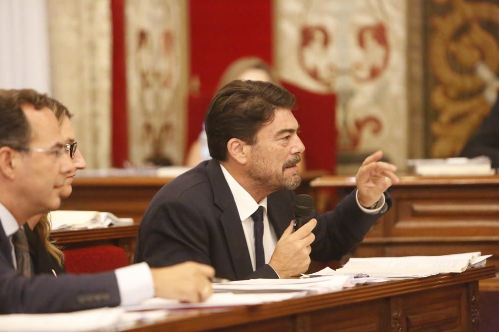 Pleno en el Ayuntamiento de Alicante