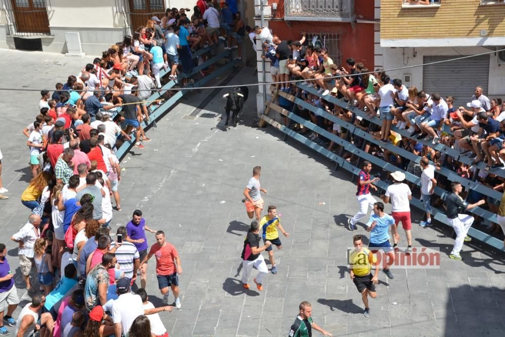 I Encierro de Blanca 2016