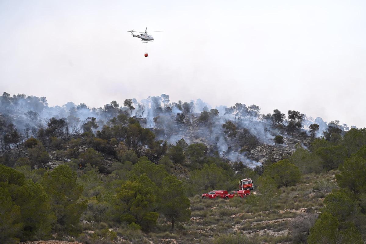Fuego en Algueña: así está siendo el operativo para la extinción