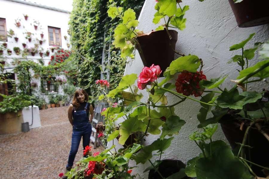 Los Patios de Córdoba: Centro / Judería