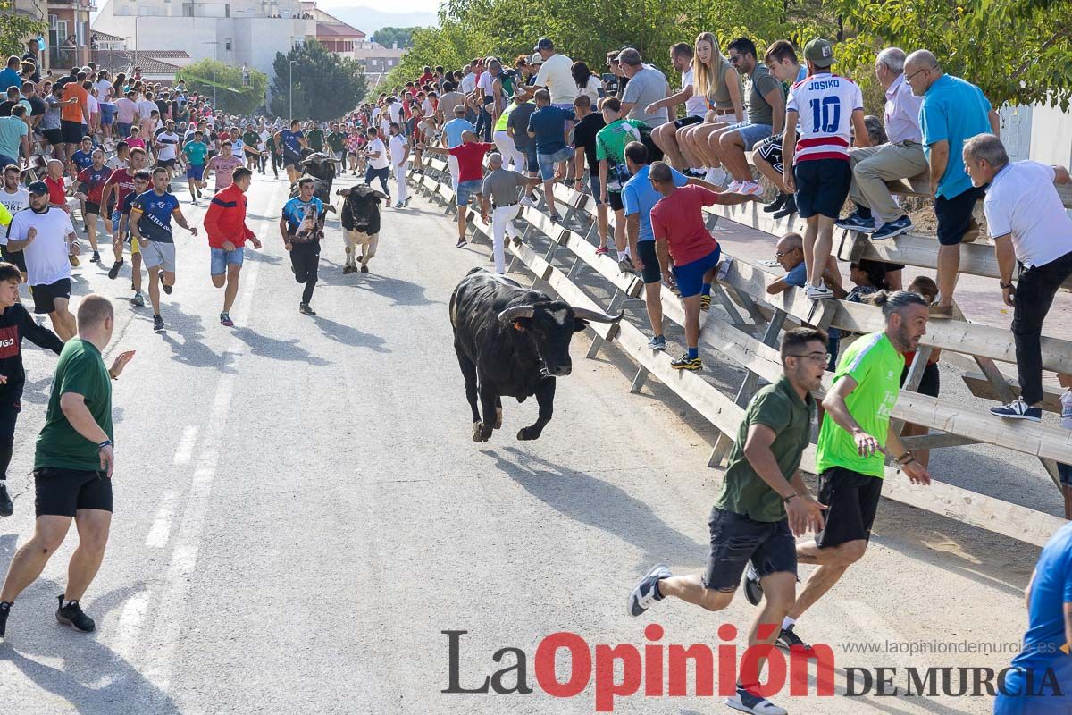 Sexto y último encierro de la Feria Taurina del Arroz en Calasparra