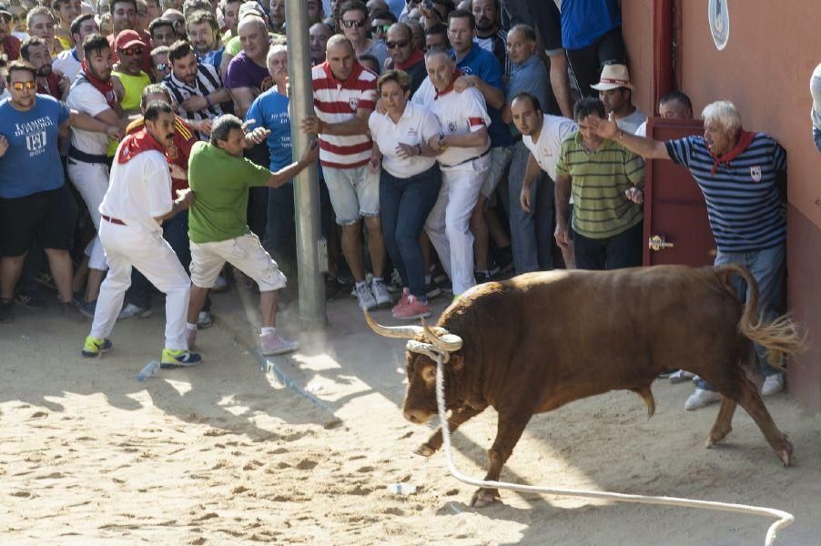 La carrera del Toro Enmaromado 2017 Razonador