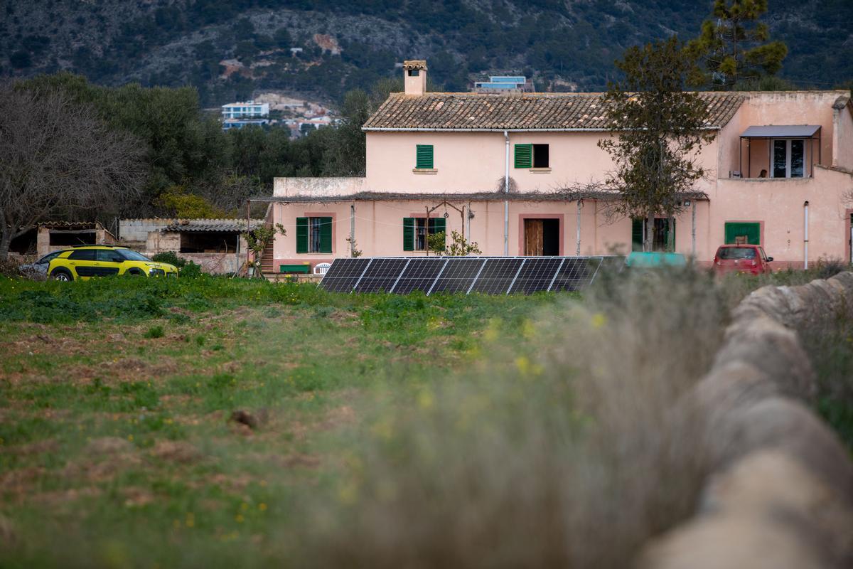 Agricultura en Mallorca: La conselleria prioriza que los parques fotovoltaicos se compensen con cultivos de más valor agrícola