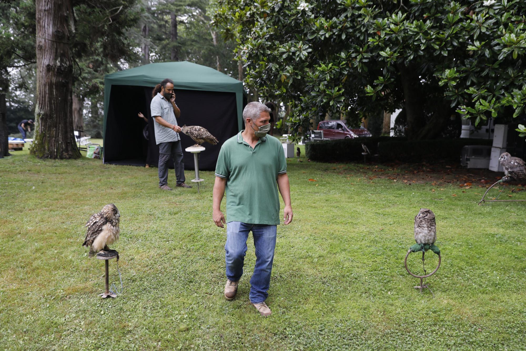 Los vuelos nocturnos de los búhos vuelven al Botánico de Gijón