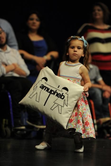 Gala flamenca de Amupheb