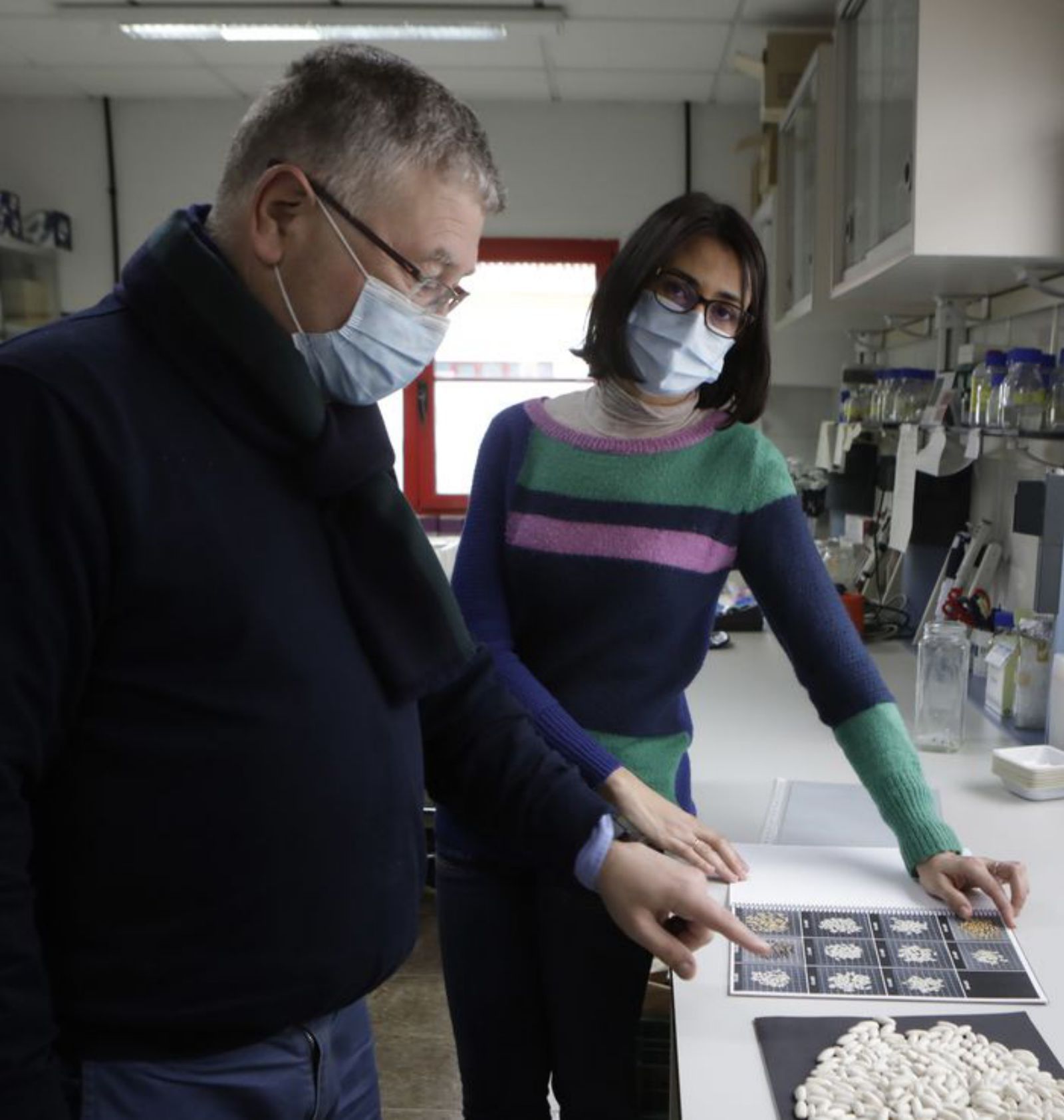 Juan José Ferreira y Ana Campa, en un laboratorio del Programa de Genética Vegetal. |