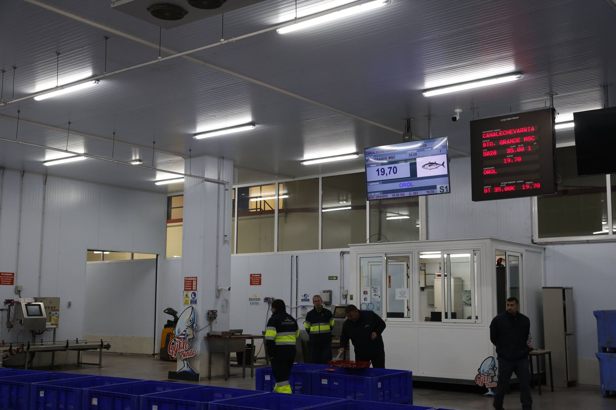 EN IMÁGENES: La campaña de bonito arranca en la lonja de Gijón con una descarga de 2.800 kilos: "El pescado está cambiando las rutinas"