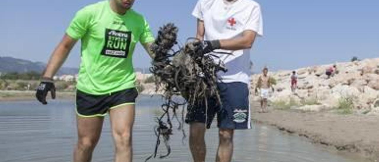 Operarios limpian una zona del Serpis en Gandia.