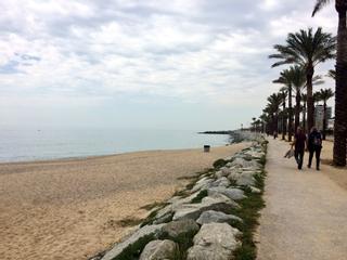 Mataró tendrá una playa para perros este verano por primera vez