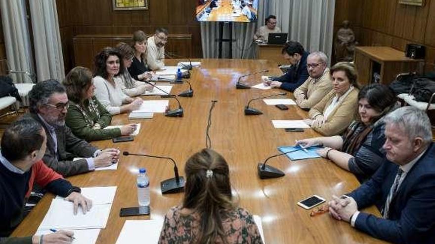 Comisión informativa de la Diputación de Ourense. // Brais Lorenzo