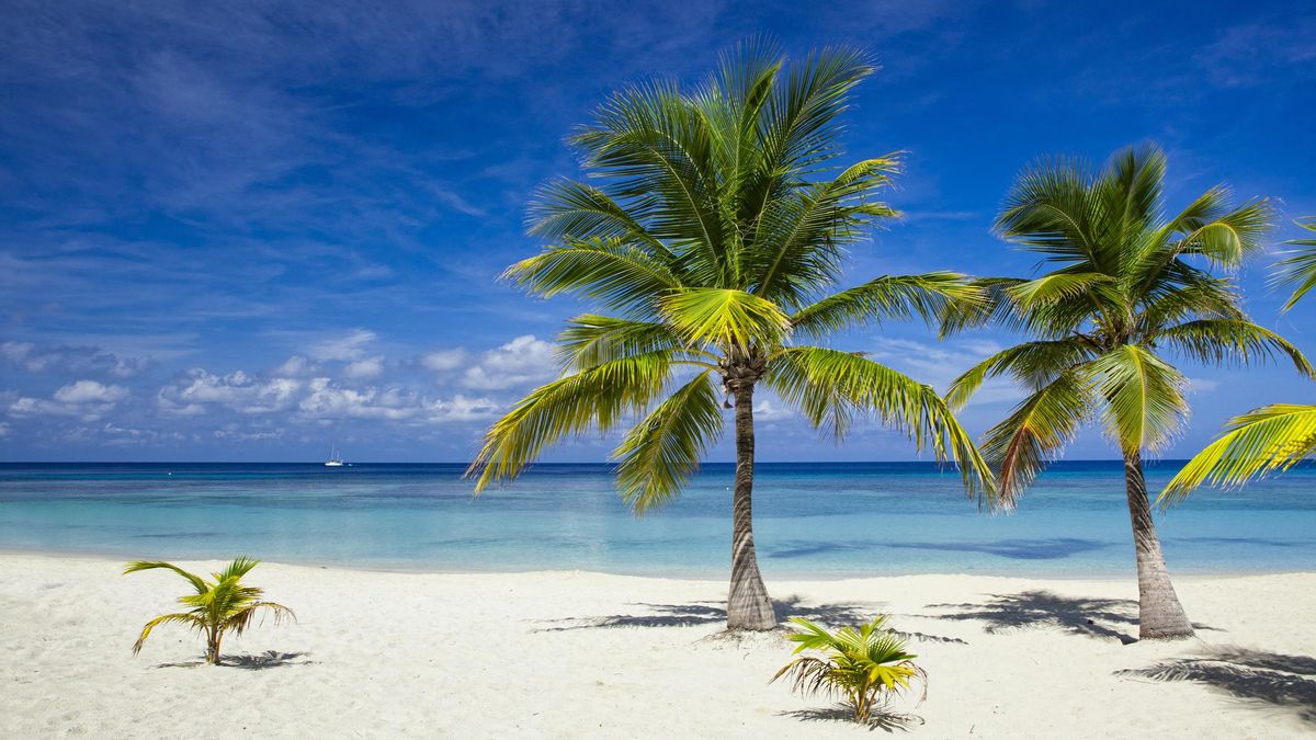 Ahora puedes alquilar esta isla paradisíaca en mitad del Caribe para 14 personas por solo 120 euros la noche