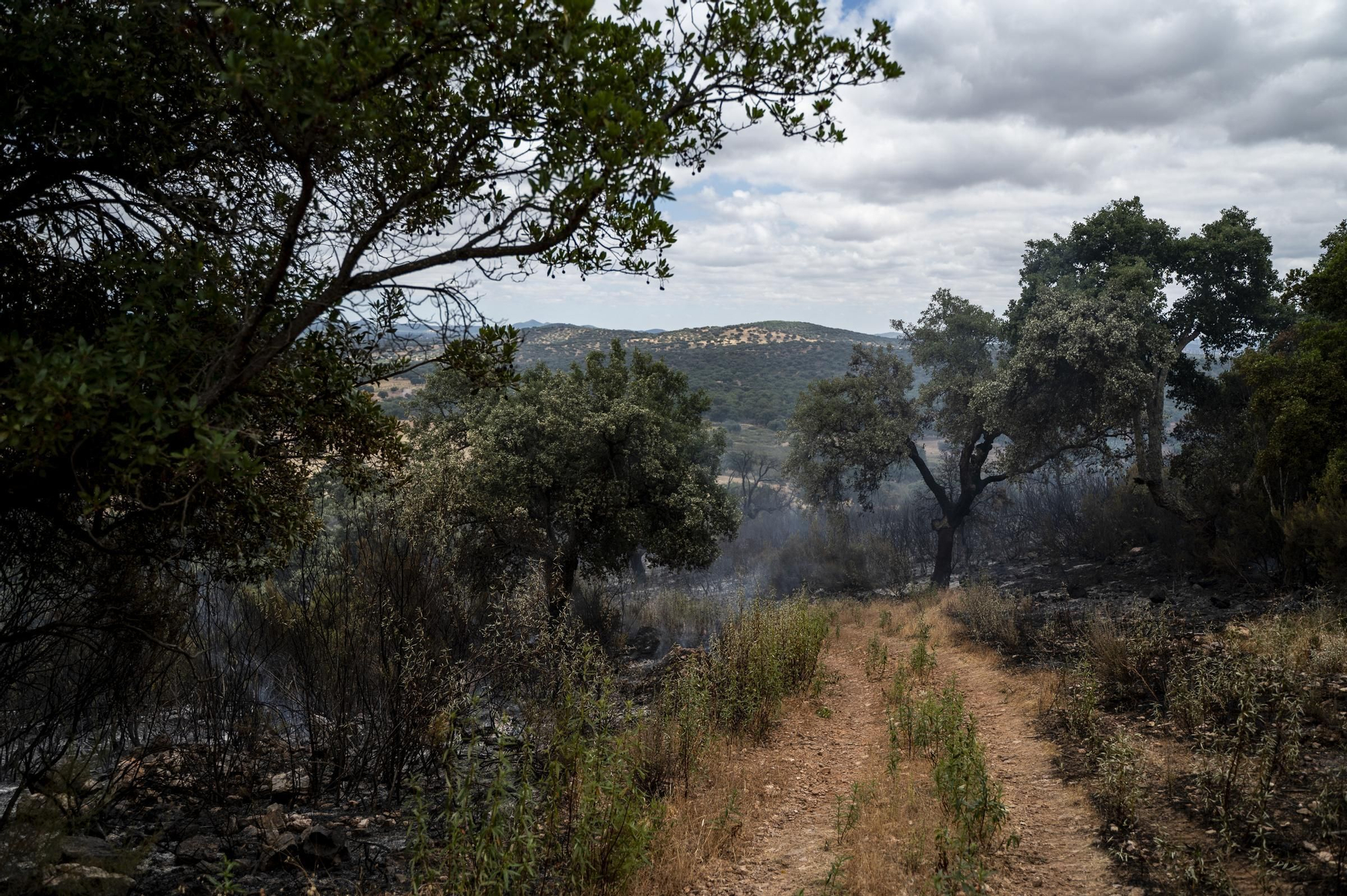 Las imágenes del incendio de este viernes en Cáceres