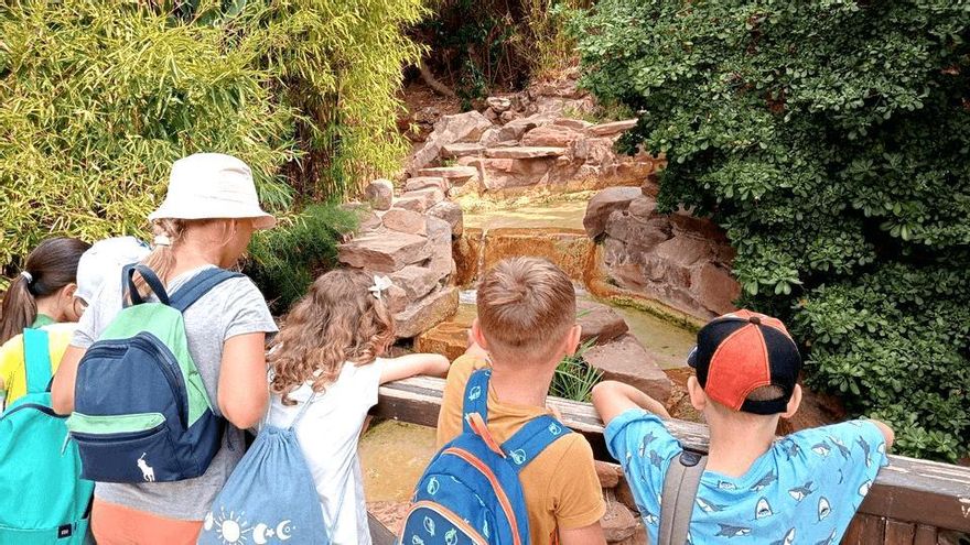 Un verano inolvidable de aprendizaje y juegos en Shackleton International School