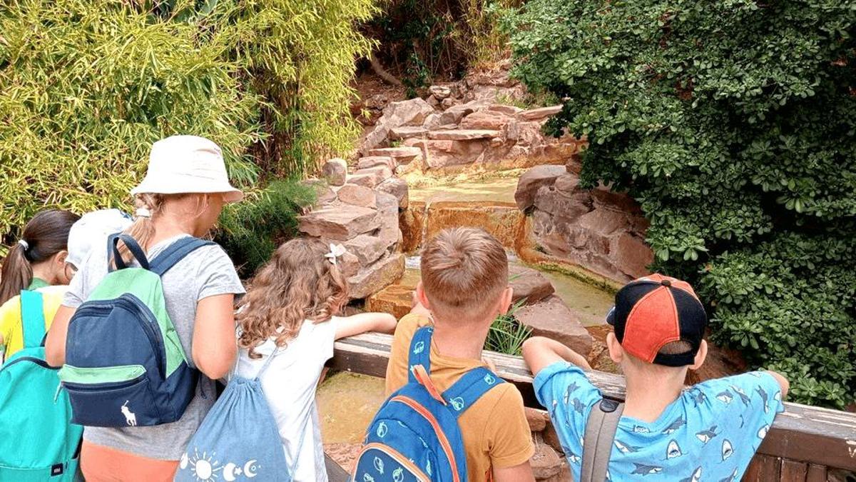En la escuela de verano realizan excursiones a lugares educativos y recreativo.