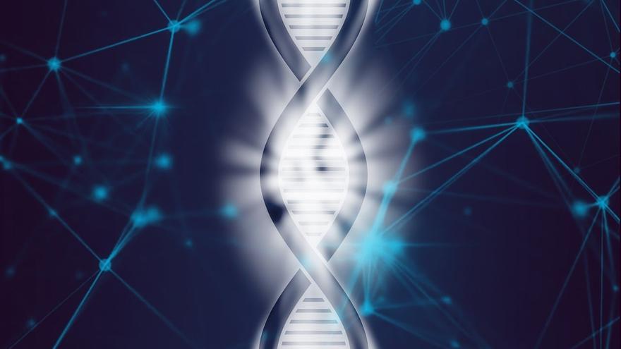 Revolución genética: una nueva herramienta instala genes completos en el ADN humano