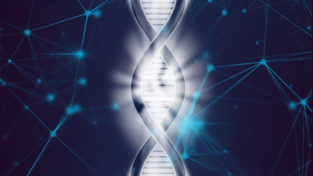 El surgimiento de nuevos genes desde cero es una de las grandes incógnitas de la ciencia: ¿tenemos ahora un modelo que puede explicarlo?