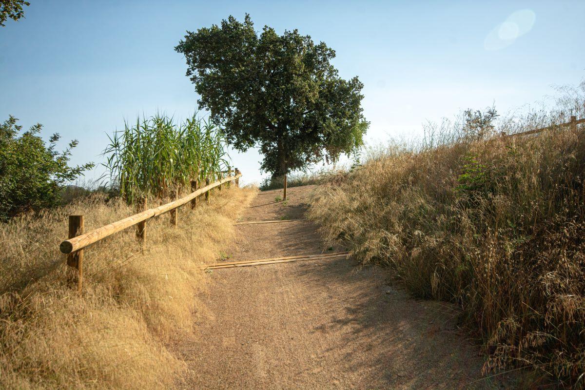 Integració paisatgística del Camí del Cagarrell a Pedret i Marzà de Juan Luis Campoy. Integració paisatgística del Camí del Cagarrell a Pedret i Marzà de Juan Luis Campoy.