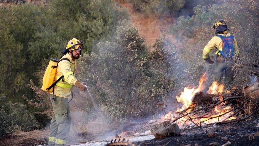 Bomberos e Infoca extinguen un incendio agrícola en Hornachuelos