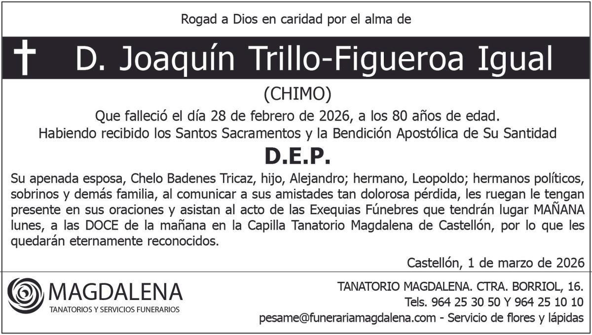 D. Joaquín Trillo-Figueroa Igual