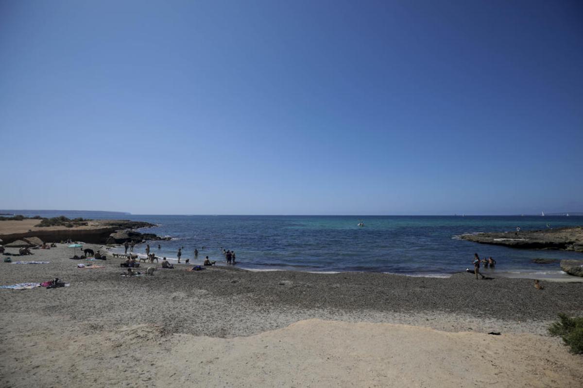 Seis playas en Mallorca para ir con tu perro