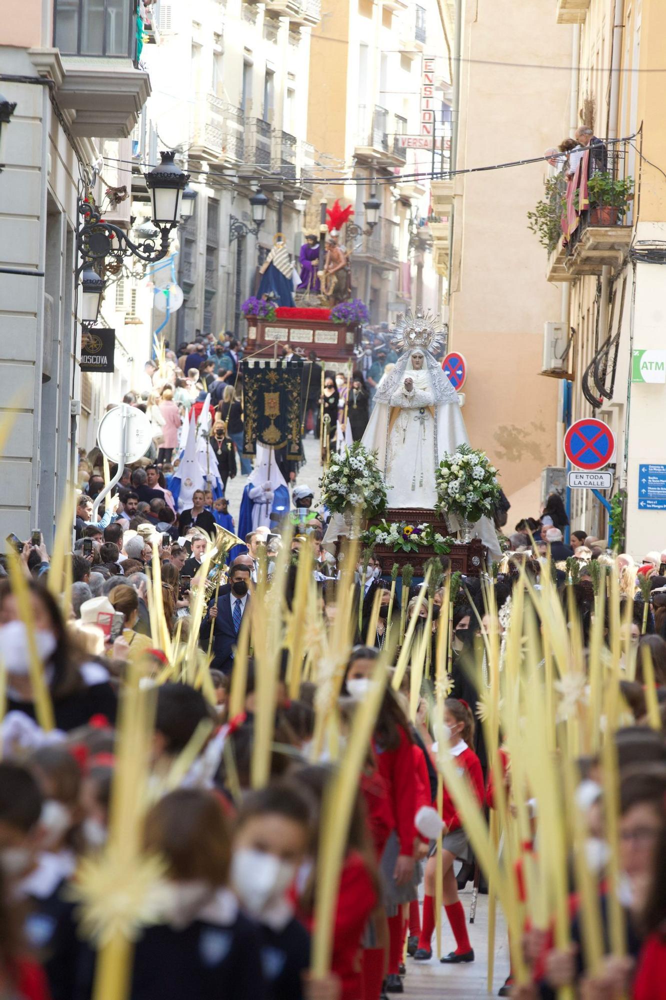 Procesión del Domingo de Ramos en Alicante