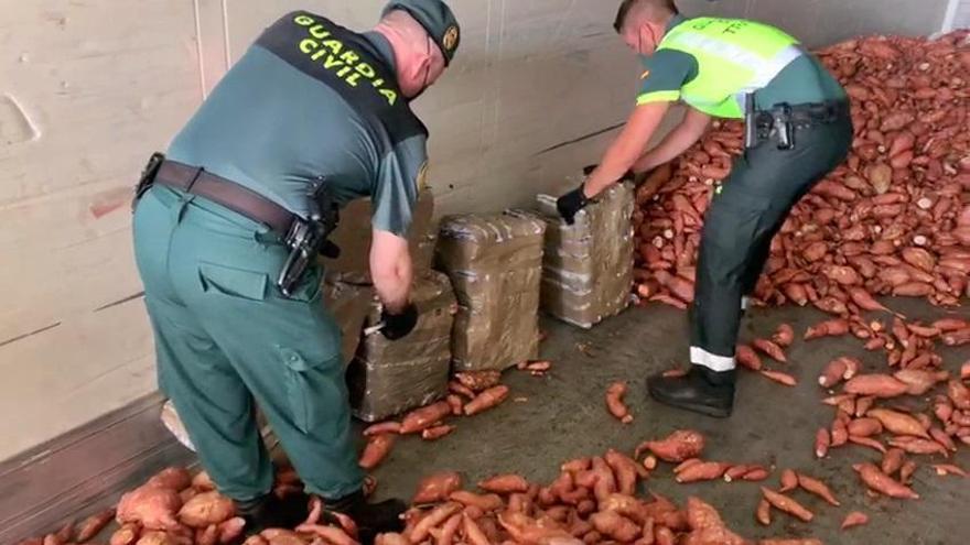 Hallados 300 kilos de hachís entre 14 toneladas de boniatos