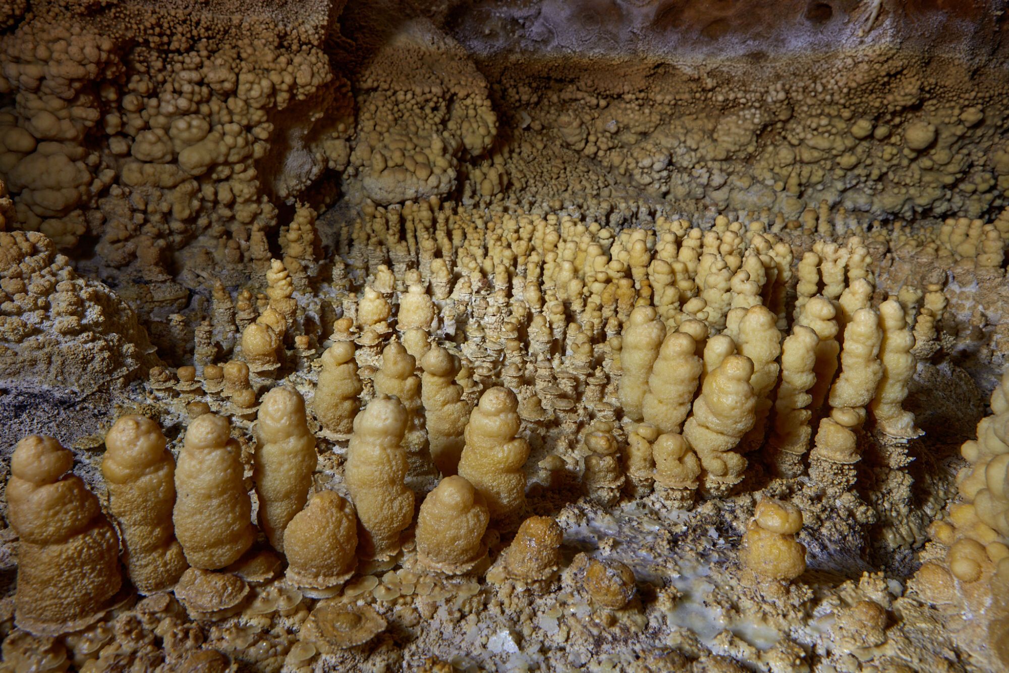 Cueva de las Estegamitas, en Málaga capital, única en el mundo por su configuración y declarada Monumento Natural