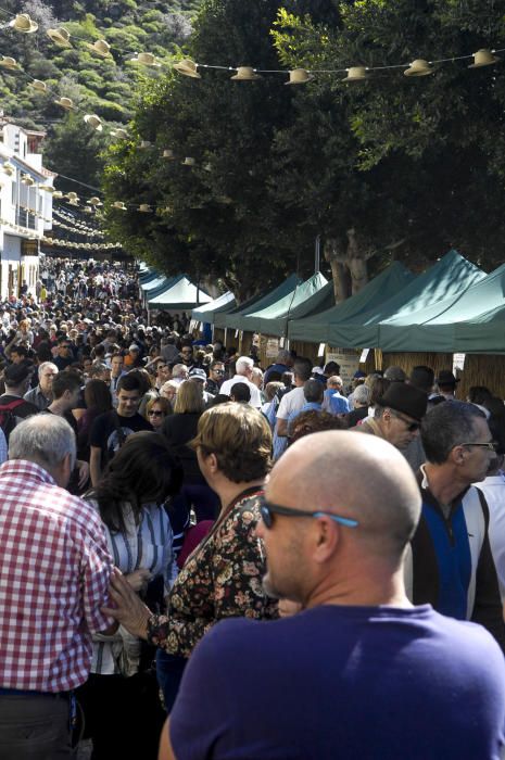 Fiestas del Almendro en Flor en Tejeda