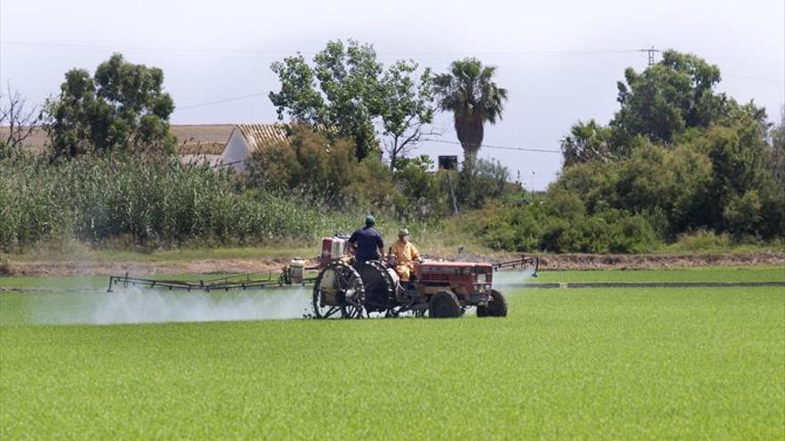 La guerra del arroz y el agua