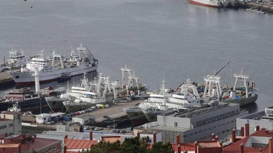 A frota que pesca nas illas Malvinas amarrada nun porto galego.