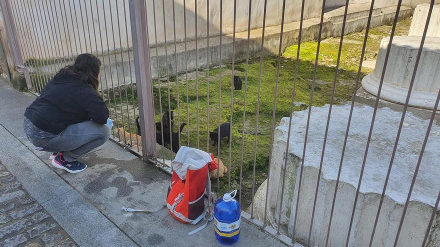 Desvelado el misterio: Rosi es la mujer que da de comer a los gatos de Mérida