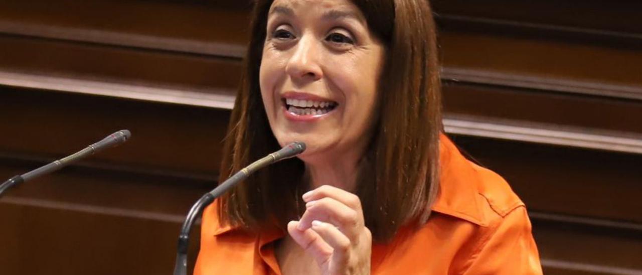 Carmen Hernández, diputada ‘canarista’ y vicepresidenta de NC-BC.