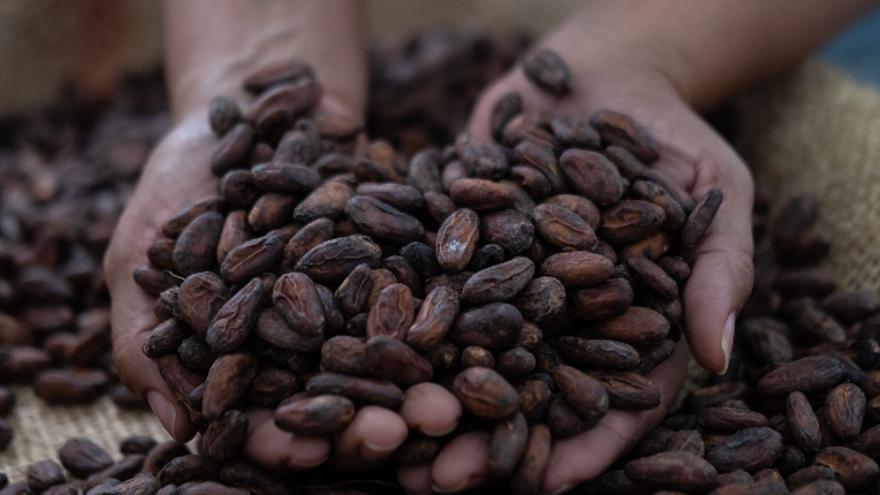 Los precios del cacao alcanzan máximos históricos