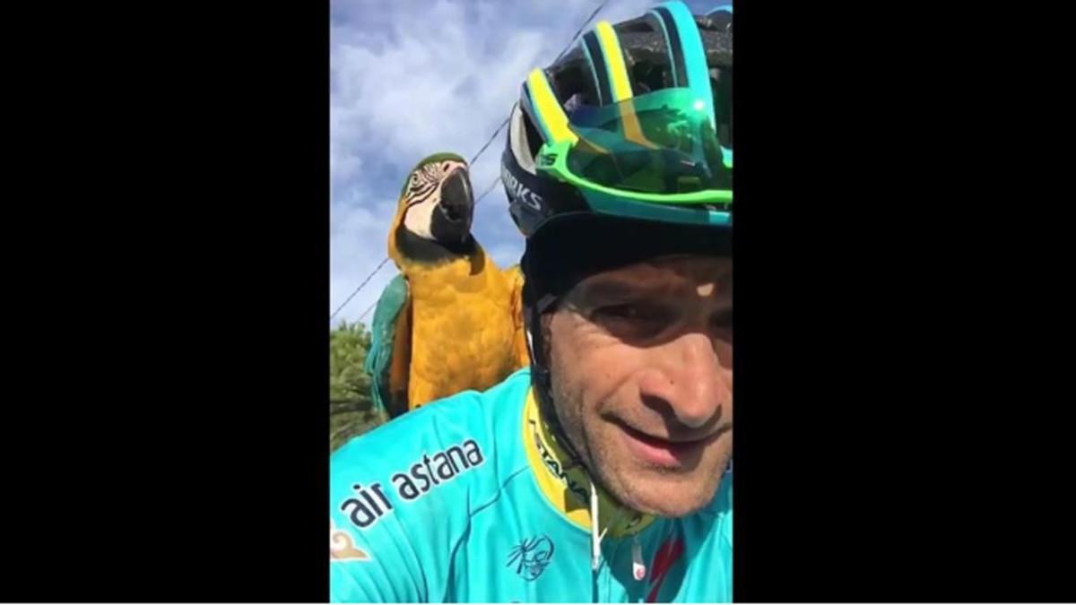 Scarponi se entrena con un loro