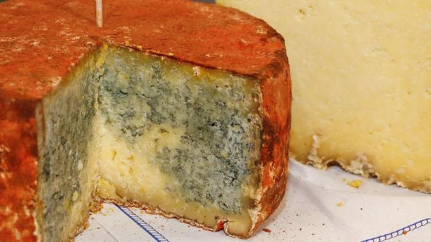 Asturias produjo en 2017 más de 714 toneladas de queso  con denominación de origen