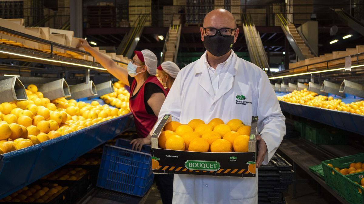 Jaime Torres, gerente de Greeen Fruits, en las instalaciones de Oliva.
