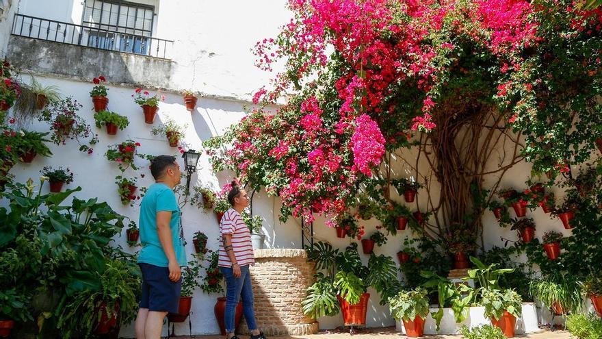 ¿Conoces los nueve patios singulares de Córdoba? Puedes visitarlos del 2 al 12 de mayo