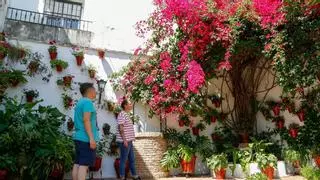 ¿Conoces los nueve patios singulares de Córdoba? Puedes visitarlos del 2 al 12 de mayo