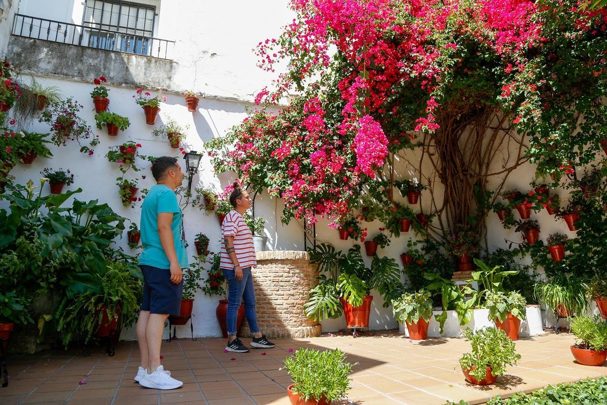 Escañuela 3