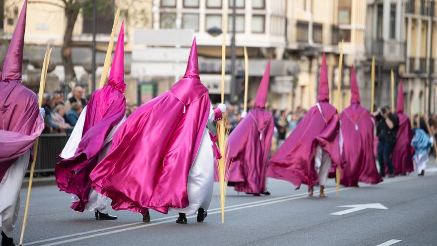 GALERÍA | Las mejores imágenes de la procesión de &quot;La Borriquita&quot; en Zamora