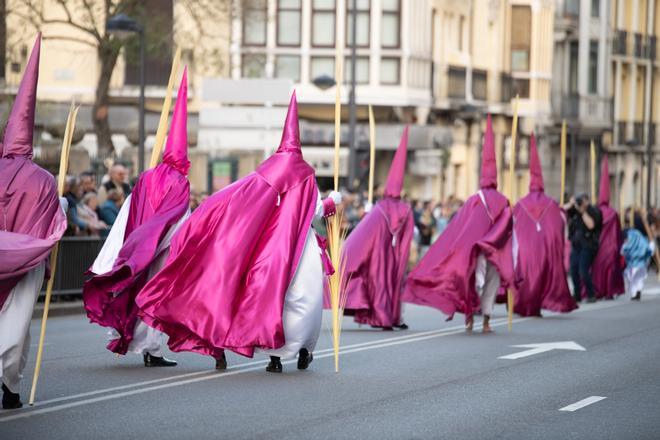 GALERÍA | Las mejores imágenes de la procesión de "La Borriquita" en Zamora