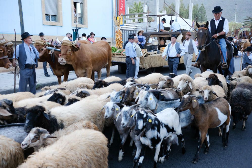 22-09-18. VALSEQUILLO. ROMERÍA DE SAN MIGUEL, ...