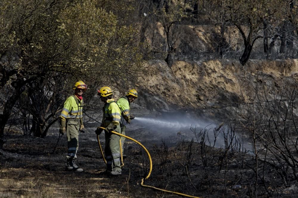 Así fue el incendio de Torremanzanas (agosto,2012)