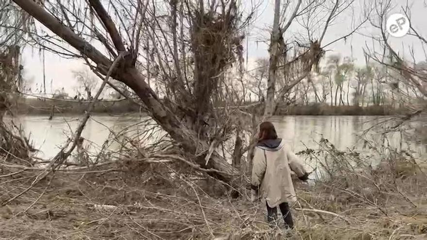 Familiares, amigos y vecinos de Pablo Cebolla realizan un operativo de búsqueda por la orilla del Ebro