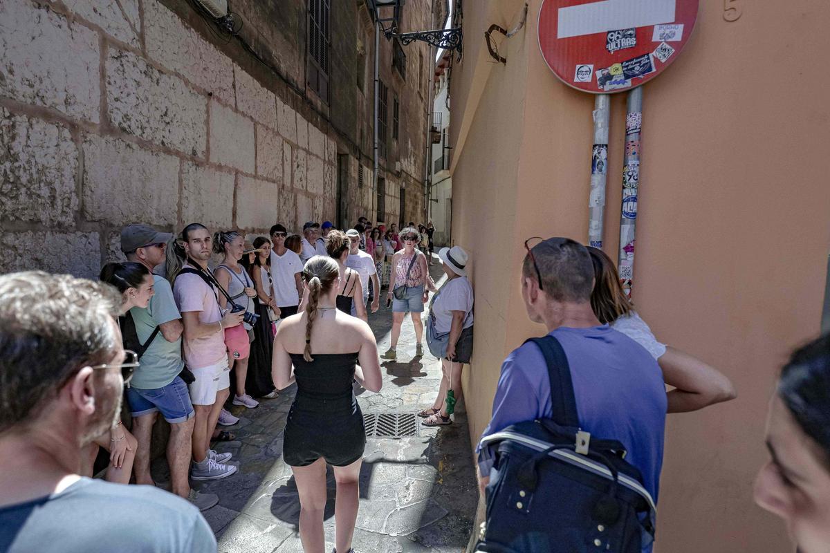 Un grupo de turistas con guía este verano en el centro de Palma.