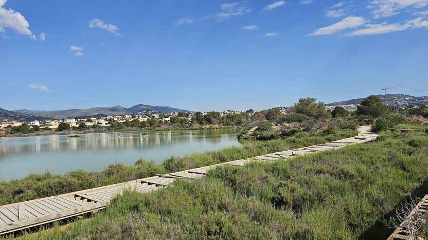 Calp desmantela la pasarela y el observatorio de aves de Les Salines para cumplir la sentencia del TSJ