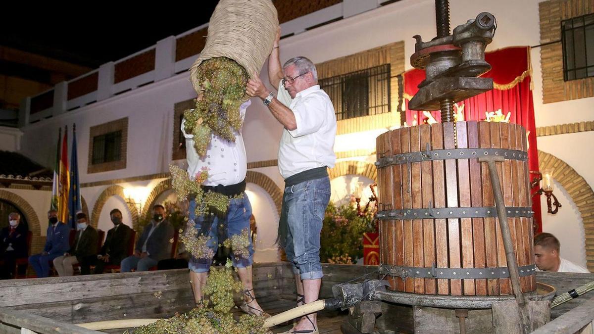 Un momento de la tradicional pisa de la uva celebrada el pasado mes de septiembre en Bodegas Navarro.
