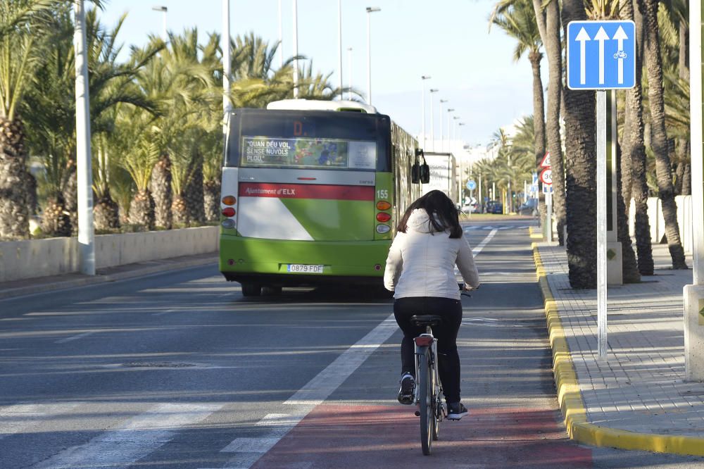 El carril bici en la avenida de la universidad